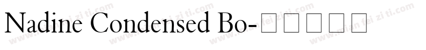 Nadine Condensed Bo字体转换